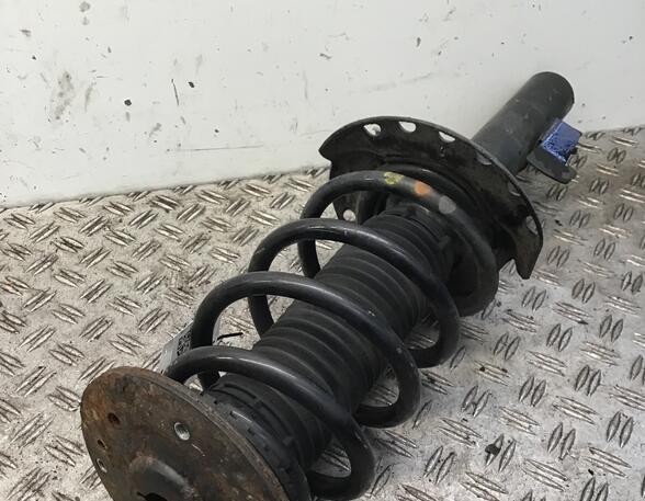 Suspension Strut FORD Galaxy (WA6), FORD S-Max (WA6)