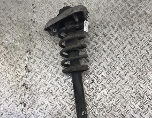 Suspension Strut VW Tiguan (5N)