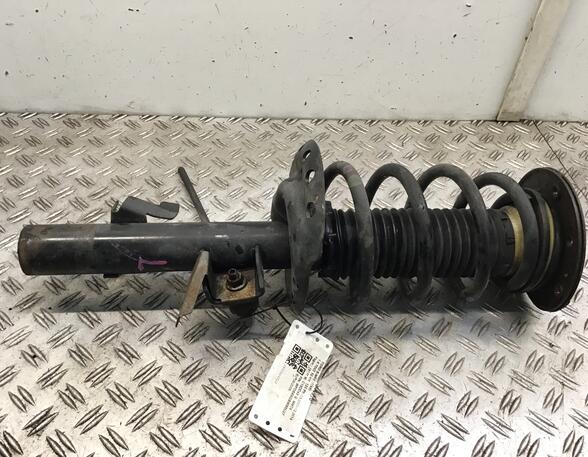 Suspension Strut FORD Galaxy (WA6), FORD S-Max (WA6)