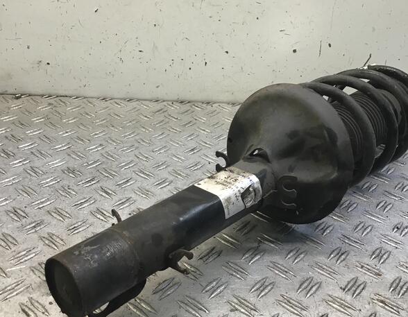 Suspension Strut VW Golf IV (1J1)