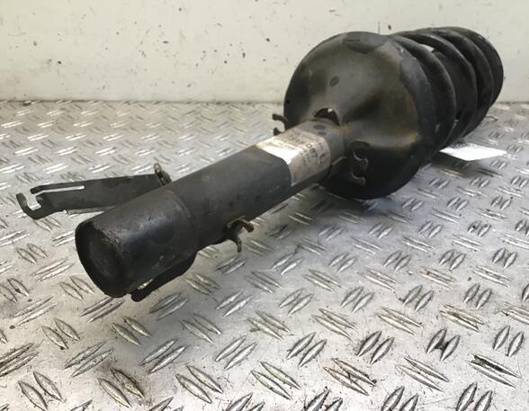 Suspension Strut VW Golf IV (1J1)