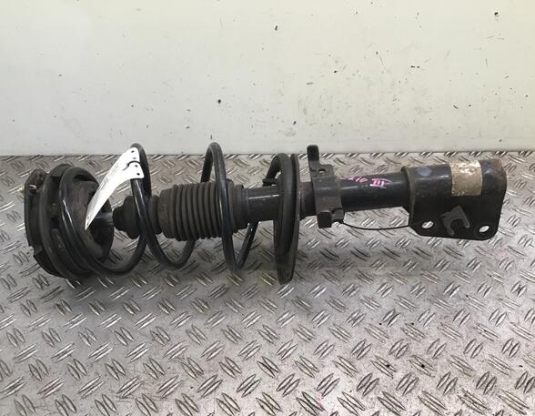 Suspension Strut RENAULT Clio III (BR0/1, CR0/1)