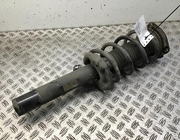 Suspension Strut VW SHARAN (7N1, 7N2)