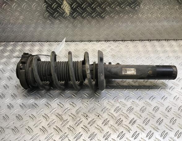 Suspension Strut VW SHARAN (7N1, 7N2)