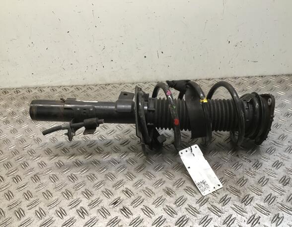 Shock Absorber FORD B-Max (JK)