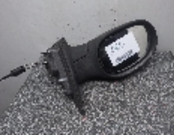 Wing (Door) Mirror RENAULT Laguna I (556, B56)