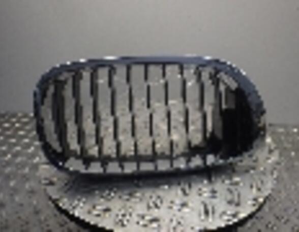 Radiator Grille BMW 3 (E46)