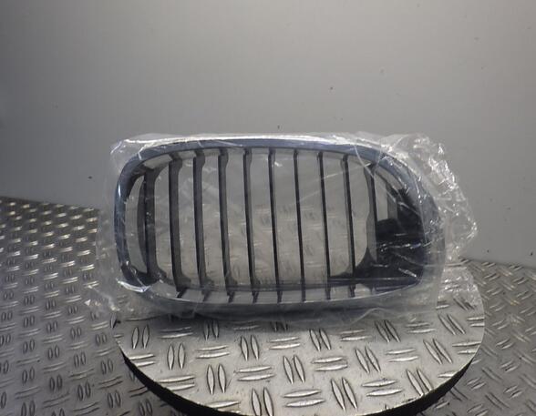 Radiator Grille BMW 3 (E46)