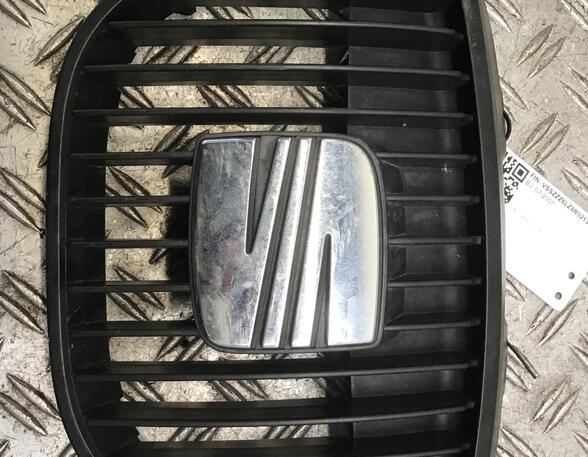 Radiator Grille SEAT Ibiza III (6L1)