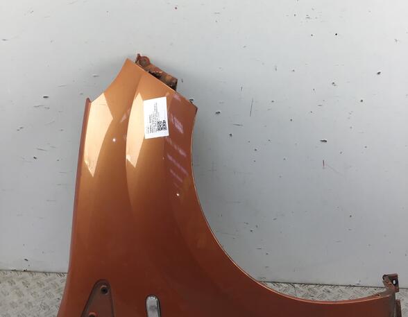 Spatbord RENAULT TWINGO II (CN0_)