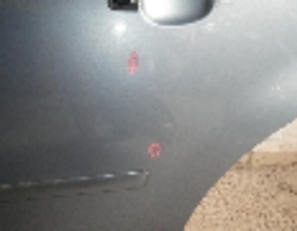 Door FORD FOCUS C-MAX, FORD C-MAX (DM2)