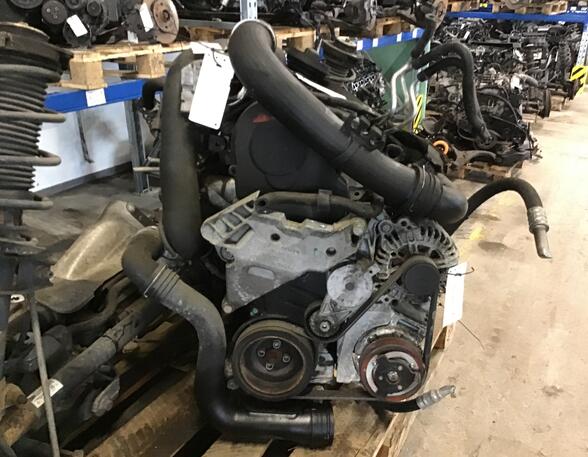 Bare Engine VW GOLF PLUS (5M1, 521)