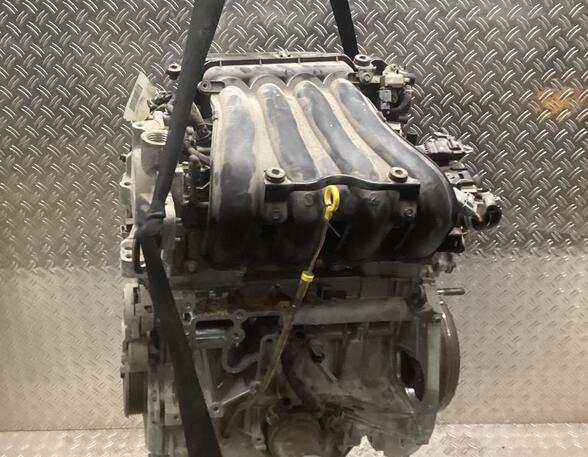 Bare Engine RENAULT Clio III (BR0/1, CR0/1)