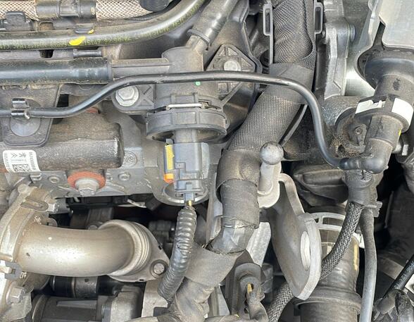 Bare Engine FORD GRAND C-MAX (DXA/CB7, DXA/CEU)