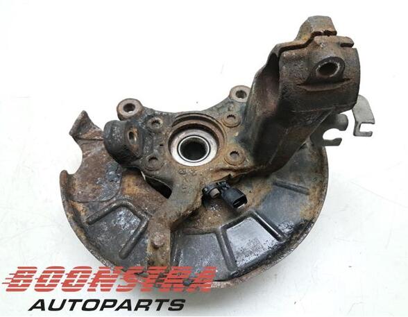 Stub Axle VW Tiguan (5N)