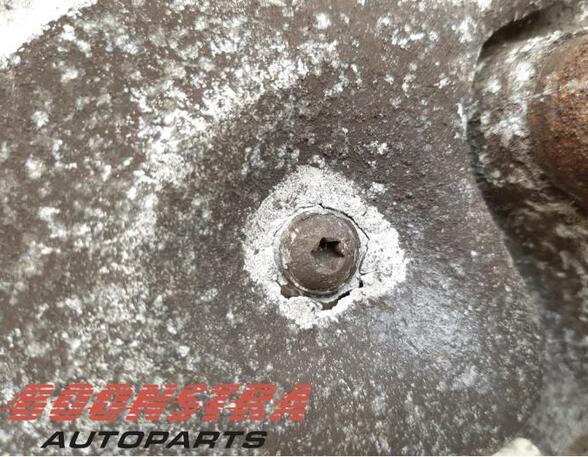 Stub Axle AUDI Q5 (8RB), AUDI Q5 Van (8RB)