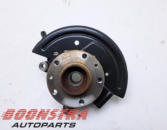 Stub Axle RENAULT ZOE (BFM_)