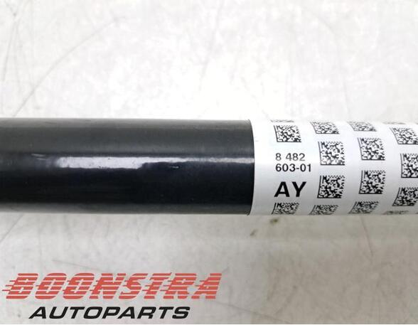 Drive Shaft BMW 3 (G20, G80)