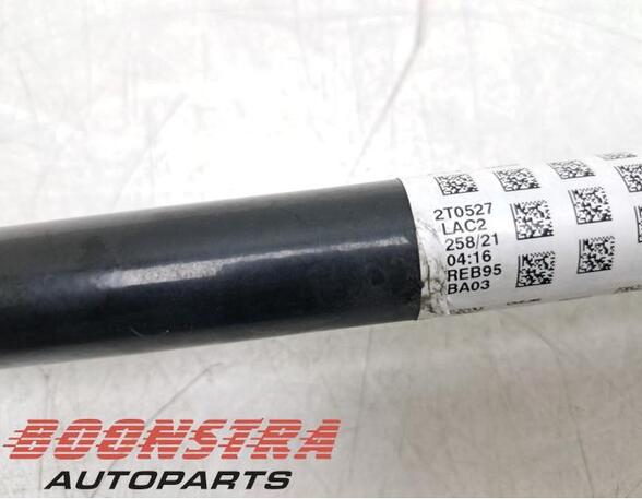 Drive Shaft BMW 3 (G20, G80)