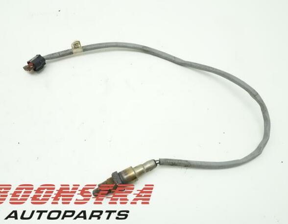 Lambda Sensor / NOx Sensor FORD Focus III (--)