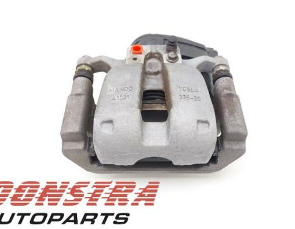 Brake Caliper TESLA Model 3 (5YJ3)