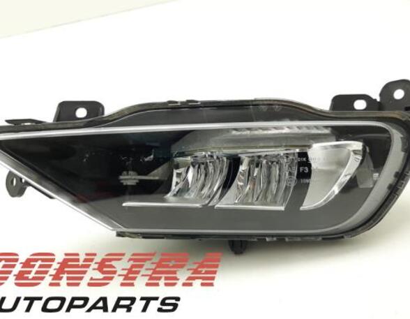 Fog Light VOLVO XC60 II (246)