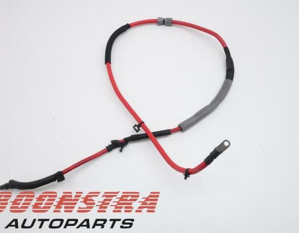 Wiring Harness PORSCHE 911 (991)