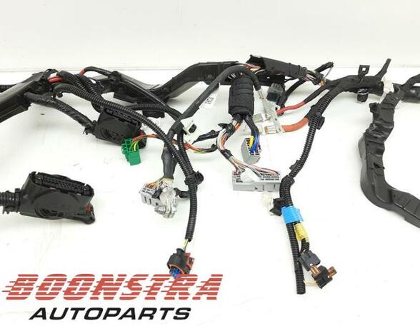 Wiring Harness TESLA Model 3 (5YJ3)