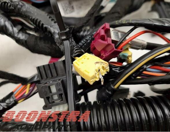 Wiring Harness TESLA Model 3 (5YJ3)