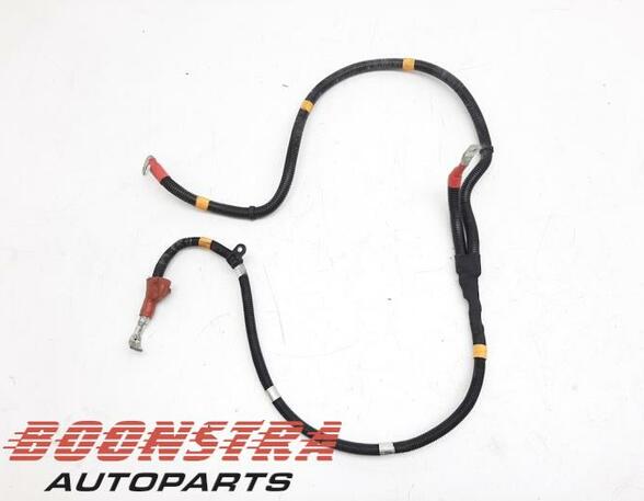 Wiring Harness FERRARI California (--)