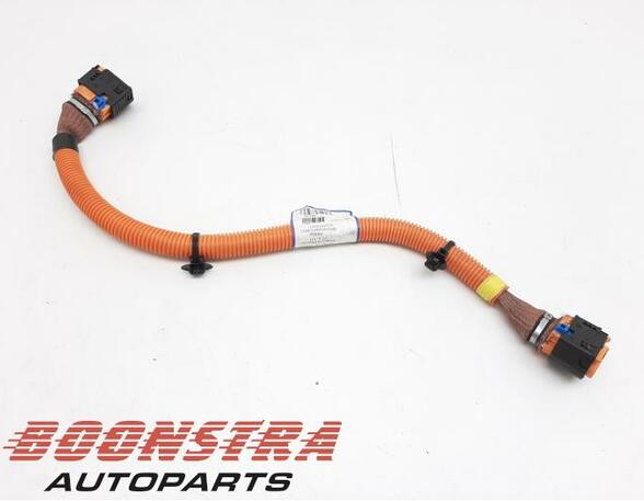 Wiring Harness RENAULT Zoe (BFM)