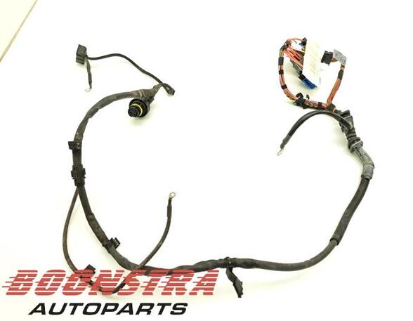 Wiring Harness BMW X6 (E71, E72), BMW X5 (E70)