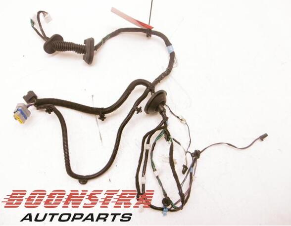 Wiring Harness TESLA MODEL S (5YJS)