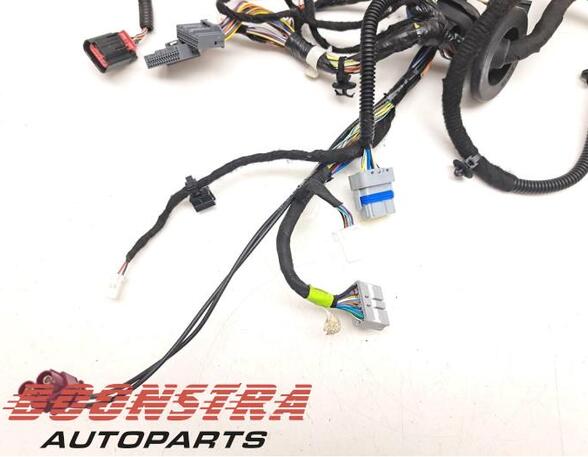 Wiring Harness TESLA MODEL S (5YJS)