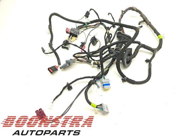 Wiring Harness TESLA MODEL S (5YJS)