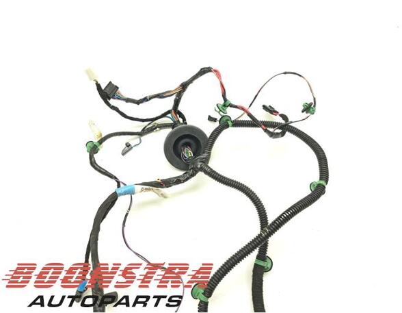 Wiring Harness TESLA MODEL S (5YJS)