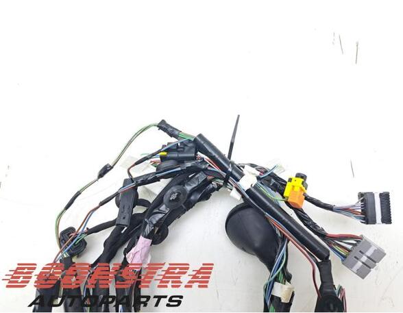 Wiring Harness TESLA MODEL X (5YJX)