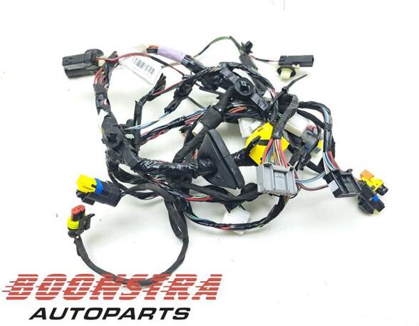 Wiring Harness TESLA MODEL X (5YJX)