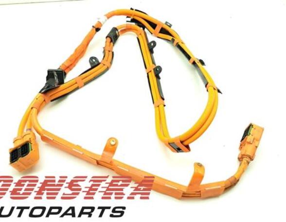 Wiring Harness BMW 5 Touring (G31)