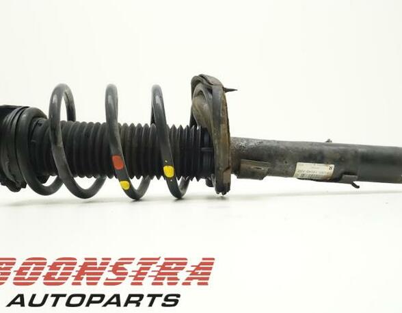 Suspension Strut FORD C-Max II (DXA/CB7, DXA/CEU), FORD Grand C-Max (DXA/CB7, DXA/CEU)