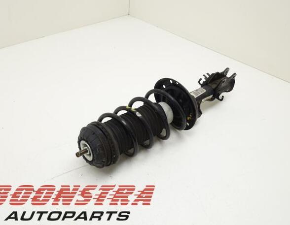 Suspension Strut FIAT Grande Punto (199), FIAT Punto (199), FIAT Punto Evo (199)