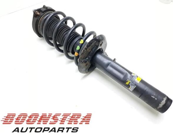 Suspension Strut VW Passat Alltrack (365), VW Passat Variant (365)