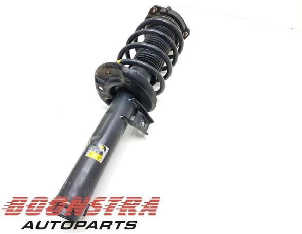 Suspension Strut VW Passat Alltrack (365), VW Passat Variant (365)