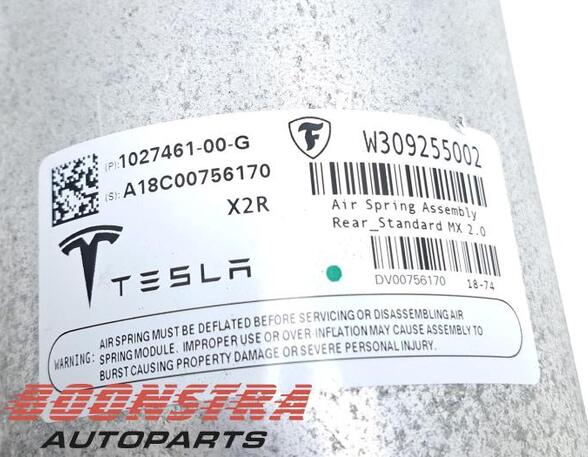 Federbein links hinten Tesla Model X 5YJX 102746100E P20955854