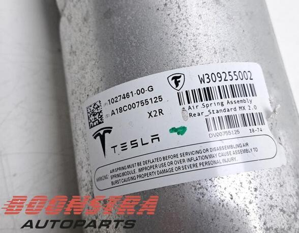 Suspension Strut TESLA MODEL X (5YJX)