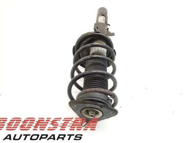 Suspension Strut FORD C-MAX (DM2), FORD FOCUS C-MAX (DM2)