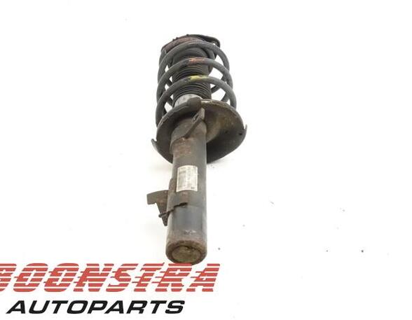 Suspension Strut FORD C-MAX (DM2), FORD FOCUS C-MAX (DM2)