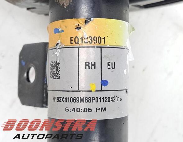 Suspension Strut SUZUKI BALENO (FW, EW)