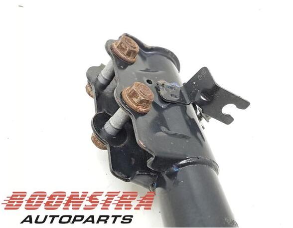 Suspension Strut SUZUKI BALENO (FW, EW)