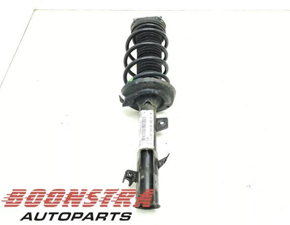 Suspension Strut FORD FIESTA VI (CB1, CCN)